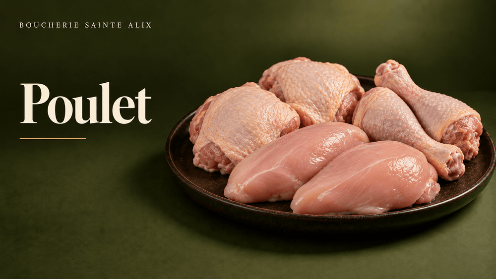 Viande de poulet